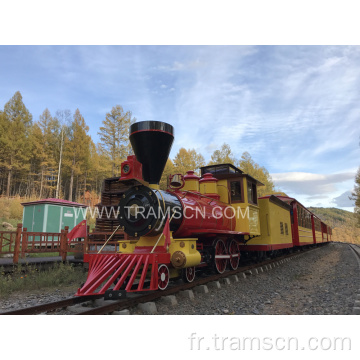 Belle forêt voyageant par train de piste